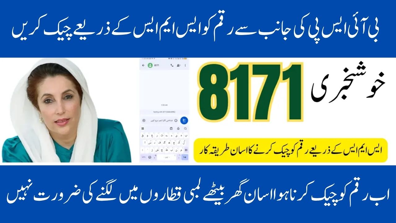 The Check Your BISP 8171 SMS Payment Status If the Web Portal Isn't Functioning Correctly in 2025