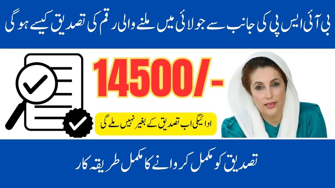 The Excellent BISP 8171 July 2025 Verification of Payment through Tehsil Office for 13500 Complete Details