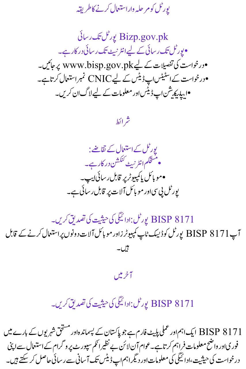 What is the online gateway for BISP 8171?  And how can we use it to obtain our payment details?