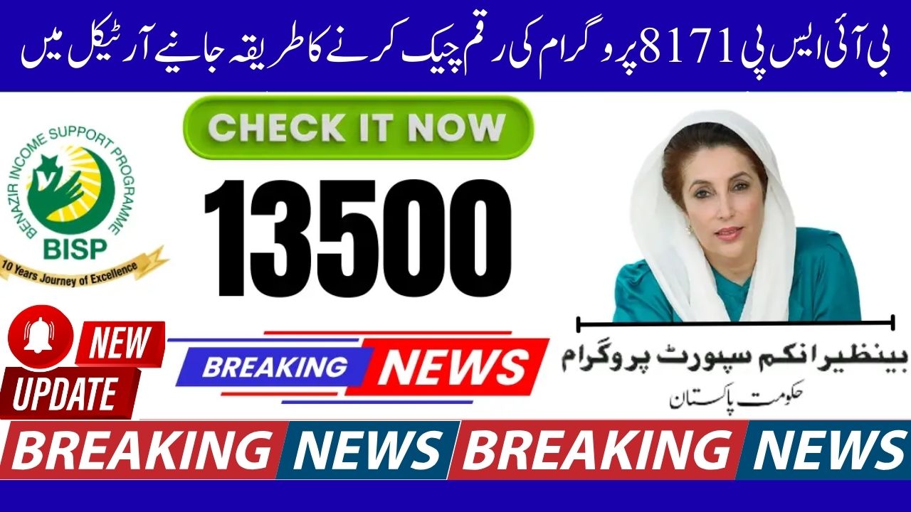 Simple Way to Check Balance Online with BISP 8171 at Your Fingertips