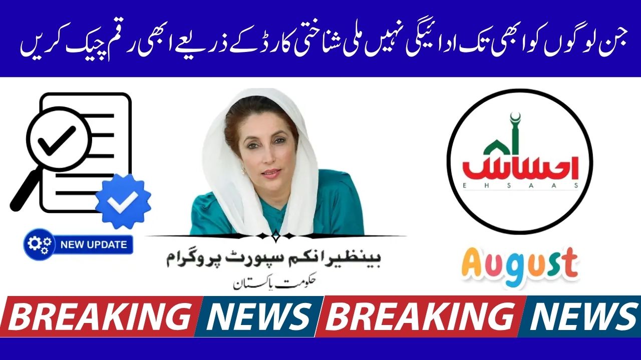 Complete 2025 Update for the 8171 Ehsaas Program Check CNIC Online Portal Guide