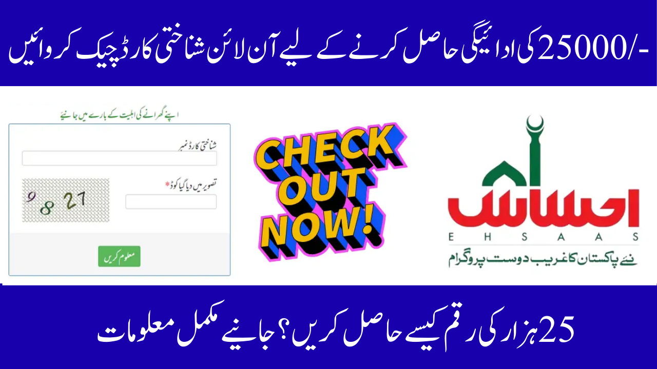 8171 CNIC Online Check Ehsaas Program 25000